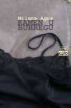 kamen u bubregu