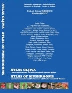 Atlas gljiva i internacionalni rečnik narodnih imena gljiva / Atlas of Mushrooms
