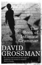 Book Of Intimate Grammar