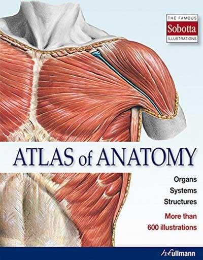 Atlas Of Anatomy: The Human Body Described In 13 Systems