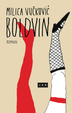 Boldvin: roman