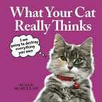 What Your Cat Really Thinks