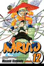 Naruto Vol. 12: The Great Flight