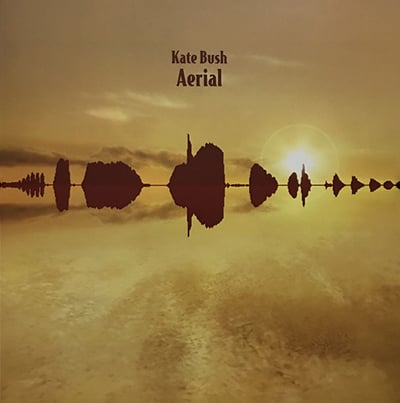 Aerial (Vinyl)