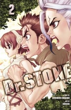 Dr. Stone Vol 2: Two Kingdoms Of The Stone World