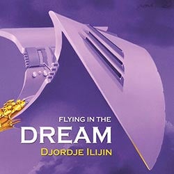 Flying In The Dream