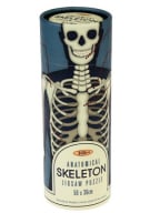 Puzzle - Anatomical Skeleton Tube