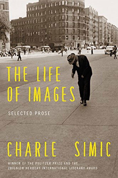 The Life Of Images: Selected Prose