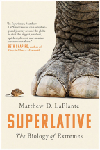 Superlative: The Biology Of Extremes