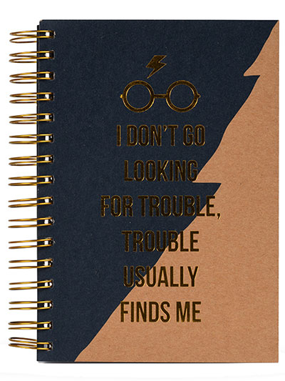Agenda - Harry Potter, Trouble Usually Finds Me, A5