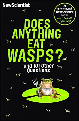 Does Anything Eat Wasps