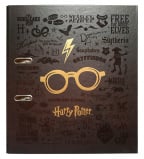 Registrator 2R - HP, Harry Potter, Glasses
