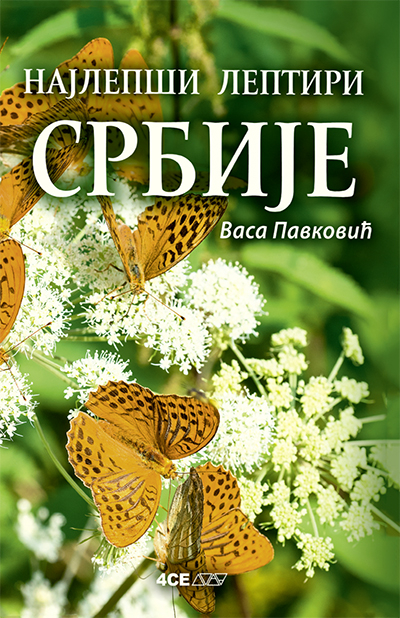 Najlepši leptiri Srbije