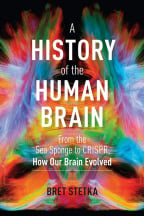 History of the Human Brain