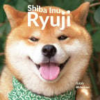 Shiba Inu Ryuji