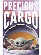 Poster - SW, The Mandalorian, Precious Cargo