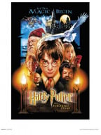 Print reprodukcija - HP, Harry Potter And The Sorcerers Stone, 30x40cm