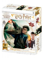 Puzla 3D - HP, Harry Potter, 300 pc