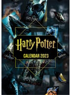 Kalendar / poster 2023 - HP, Adults A3