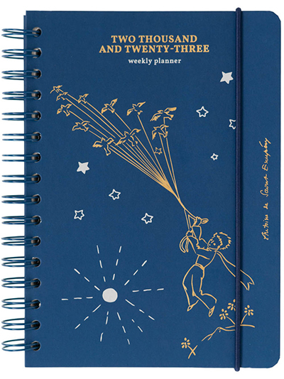 Agenda 2023 - Little Prince - | Delfi knjižare