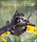 Zidni kalendar 2023 - Baby Animals, 30x30 cm
