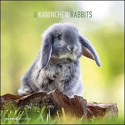 Zidni kalendar 2023 - Rabbits, 30x30 cm
