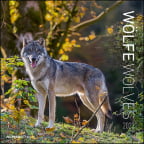 Zidni kalendar 2023 - Wolfes, 30x30 cm