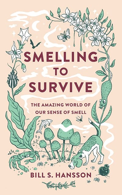 Smelling to Survive: The Amazing World of Our Sense of Smell