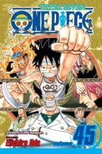 One Piece, Vol. 45: You Have My Sympathies